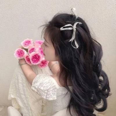 卧虎藏龙 海报
